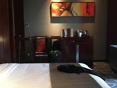 -常州环球恐龙城维景国际大酒店