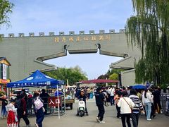 -洛阳市隋唐城遗址植物园