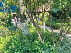 -海兰云天度假区温泉