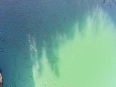 -九曲溪竹筏码头