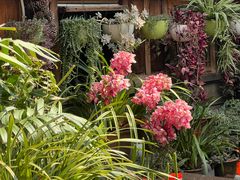 -龙姐私房菜(和顺古镇店)