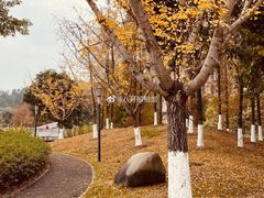 -福州大学(旗山校区)
