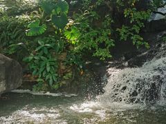 -广州市白云山风景名胜区