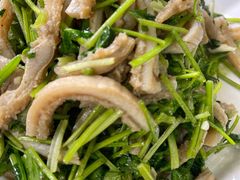 芫爆肚丝-清真鸿起来饭庄(复兴路店)