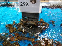 -盒马鲜生(枣园路店)