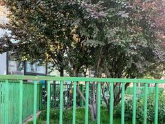 -鲜芋仙Meet Fresh(五道口店)