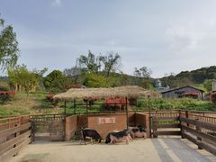 -无锡动物园·太湖欢乐园