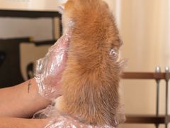 -小猫来了·猫舍(红山六九七九店)