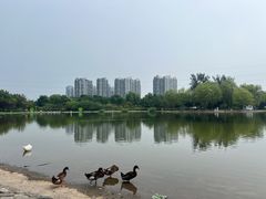 -太阳宫公园