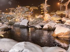 -罗红摄影艺术馆