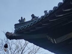 -杭州半山国家森林公园