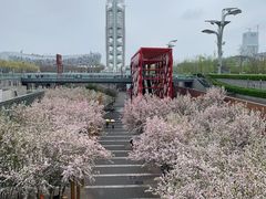 -北京奥林匹克公园