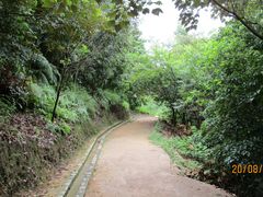 -羚羊峡古栈道森林公园
