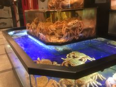 -蟹道乐(道顿堀本店)