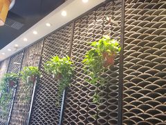 -巴渝菜舍曾氏麻辣风(霸州店)