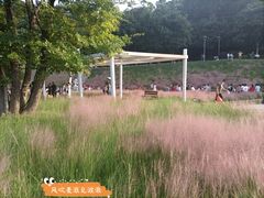 -牛岗山公园