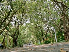-白水带风景区体育公园