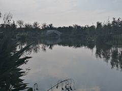 -上海长兴岛郊野公园