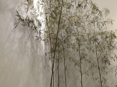-唐诗楼(竹林庭院店)