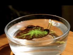 -清晖小苑•顺德地方菜(壹海城店)