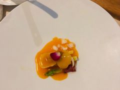 -诺莱仕游艇会
