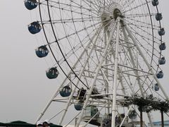 -秦皇岛乐岛海洋王国