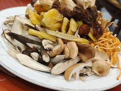 -菌之家·专业纯野生菌火锅·特色炒菌