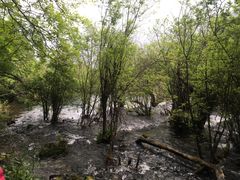 -九寨沟-树正沟