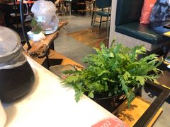 -煲宫猪肚鸡(晶品店)