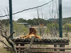 -宁波野生动物园