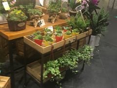 -豆豆花艺(新光天地店)