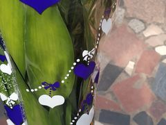 -秦美花卉(天朗·莱茵小城2期店)