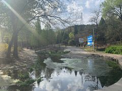 -白水寺森林公园