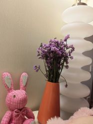 -珍贞佰俪·针清祛痘印敏感管理