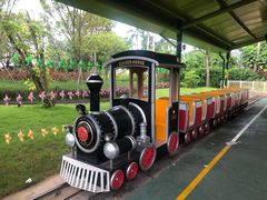 -美的鹭湖探索王国