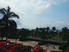 -三亚亚龙湾金棕榈度假酒店