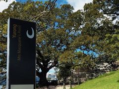 -麦考利夫人座椅