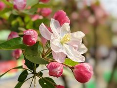 -元大都城垣遗址公园