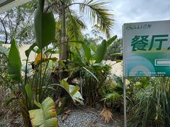 -芭厘农庄老字号·清远鸡