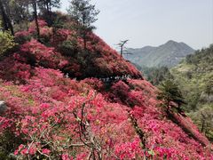 -木兰云雾山