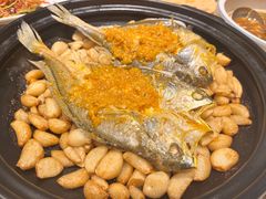 -汇丰苑·海鲜青岛菜(中山路大鲍岛店)