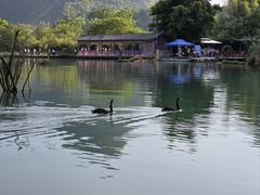 -靖西鹅泉风景区