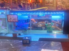 -粗粮人家·东北菜(洋桥店)