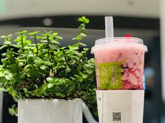 -奈雪的茶(新天地广场PRO店)
