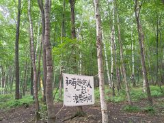 -帽儿山风景区