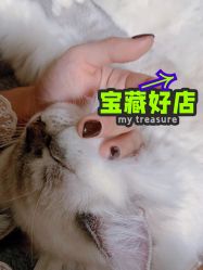 点击看大图 -Aso Artist Beauty美甲美睫