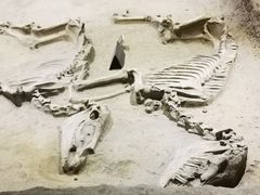 -洛阳周王城天子驾六博物馆