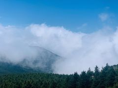 -白草畔自然风景区