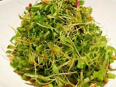 美味萝卜苗-陈家老院子(高新店)
