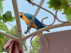 -辛玛王国游乐园